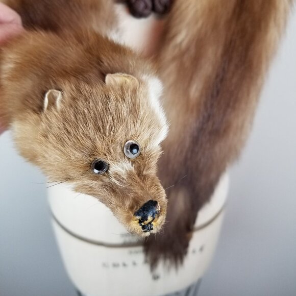 Vintage 1930's Full Mink Fur 3 Pelt Stole Scarf with Heads, Tails & Feet - Picture 8 of 12